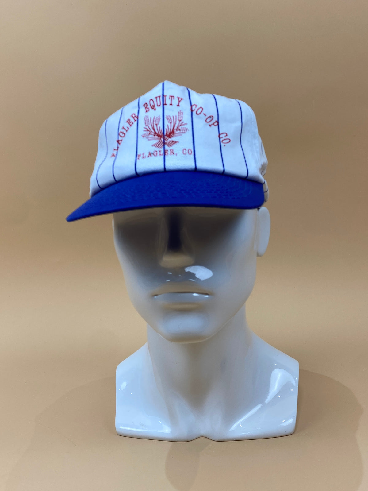 Flagler Equity Co-op Baseball Cap
