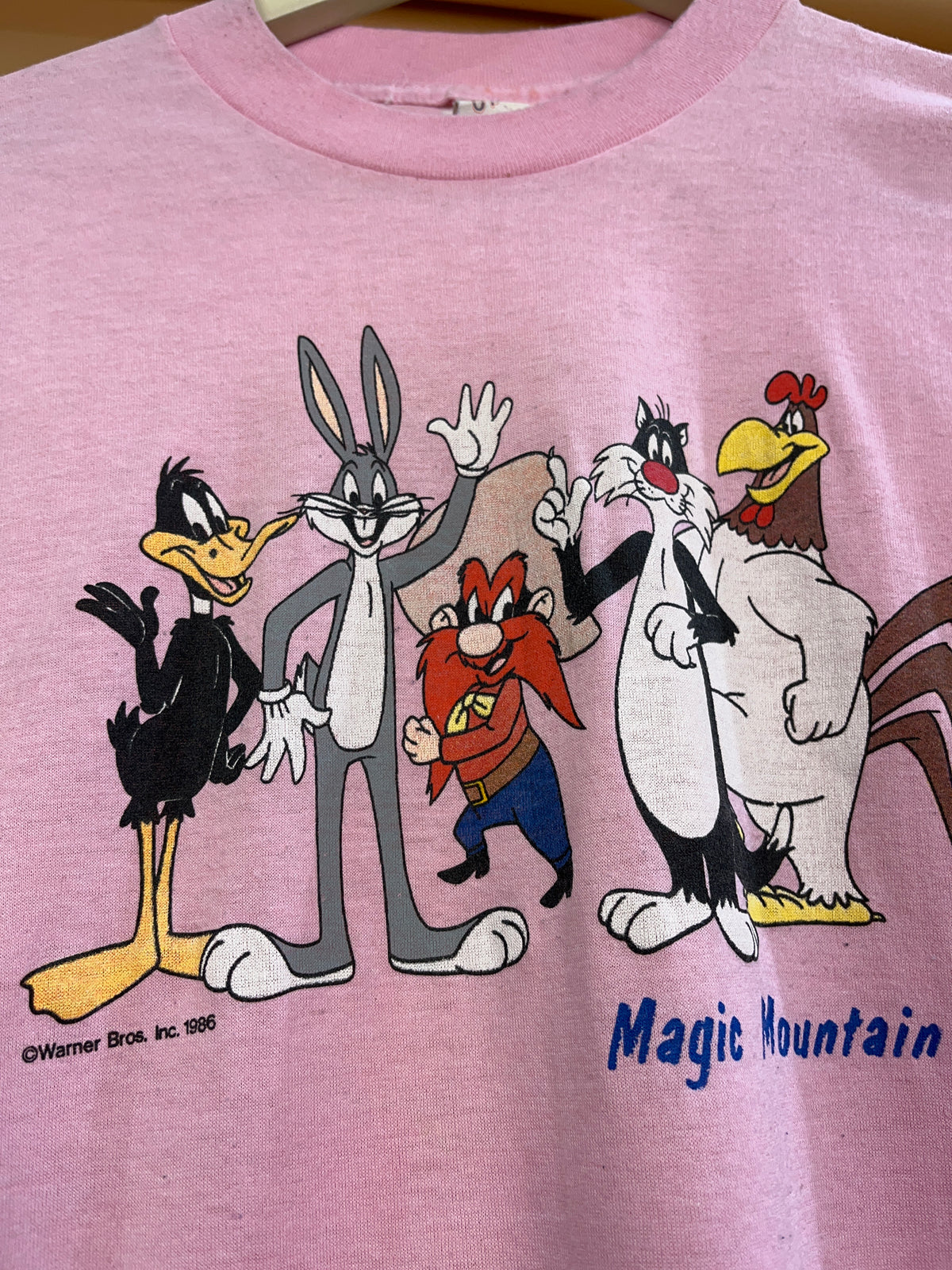 1980's Warner Bros Looney Tunes Magic Mountain Pink Tee - S