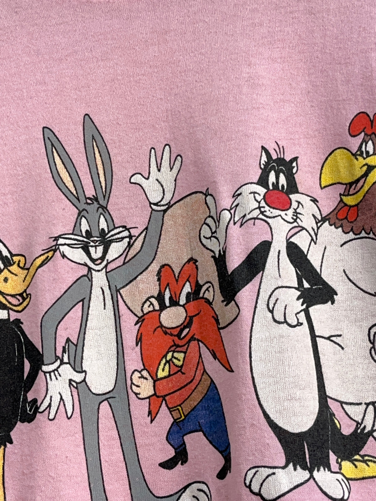 1980's Warner Bros Looney Tunes Magic Mountain Pink Tee - S