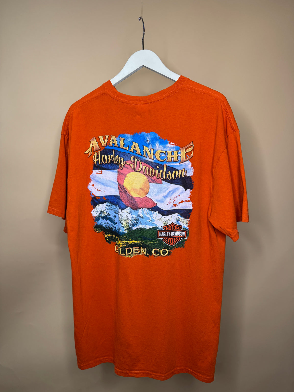 Avalanche Harley Davidson T-Shirt - L
