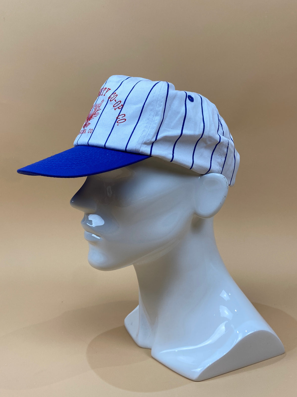 Flagler Equity Co-op Baseball Cap