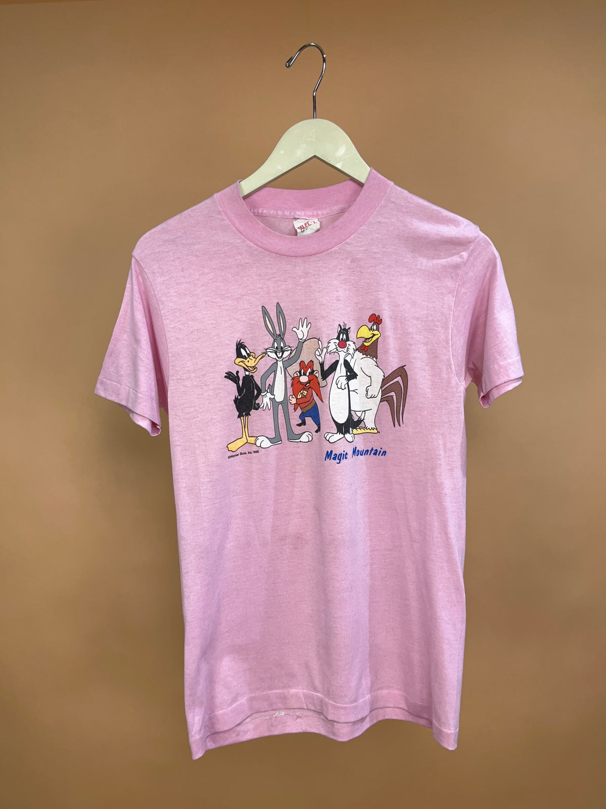 1980's Warner Bros Looney Tunes Magic Mountain Pink Tee - S